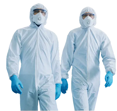 Two scientists walking